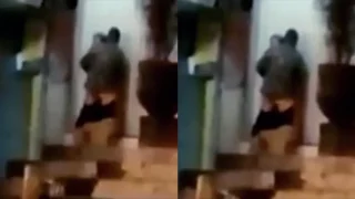 Video Mesum di Ruko Yang Sempat Viral!